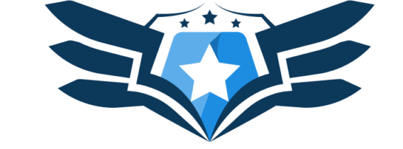 Hamidi Secure Services